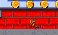 Tom & Jerry (USA)