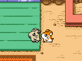 Tottoko Hamutarou 2 – Hamu-chan Zu Daishuugou Dechu (Japan)