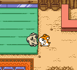 Tottoko Hamutarou 2 – Hamu-chan Zu Daishuugou Dechu (Japan)