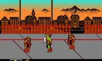 Toxic Crusaders (USA)