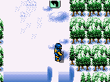 Trick Boarder (USA)