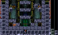 Troddlers (Europe) (Beta)