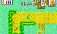Turbo Turtle Adventure (U)(Quartex)