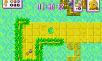 Turbo Turtle Adventure (U)(Quartex)