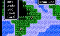 Ultima – Seija heno Michi (Japan)