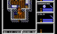 Ultima – Warriors of Destiny (USA)