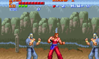 Ultimate Fighter (USA)