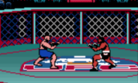 Ultimate Fighting Championship (Europe)