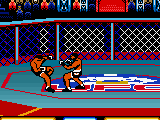Ultimate Fighting Championship (USA)