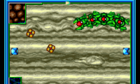 Ultimate Qix (USA)