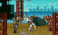 Undercover Cops (Japan)