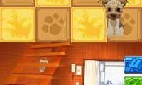 Unou Ikusei – IQ Breeder – Pet to Nakayoku IQ Lesson (Japan)