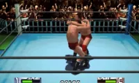 Virtual Pro Wrestling 2 – Oudou Keishou (Japan)