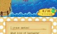 Welcome to Animal Crossing – Wild World (USA)