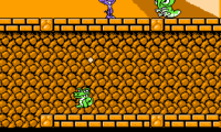 Widget (USA)
