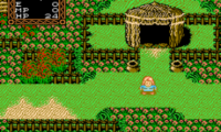 Willow (Europe)