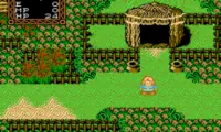 Willow (Europe)