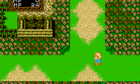 Willow (Japan)