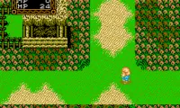 Willow (Japan)