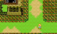 Willow (USA)