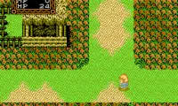 Willow (USA)