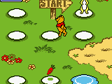Winnie the Pooh – Adventures in the 100 Acre Wood (USA)