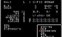 Wizardry – Proving Grounds of the Mad Overlord (Japan)