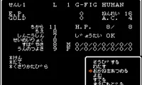 Wizardry – Proving Grounds of the Mad Overlord (Japan)