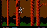 Wizards & Warriors (USA)
