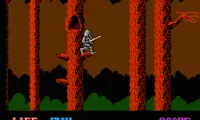 Wizards &amp; Warriors (USA)