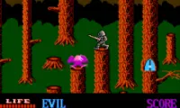 Wizards &amp; Warriors (USA) (Rev A)