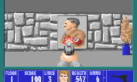 Wolfenstein 3D (U)(Mode7)