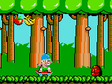 Wonder Boy (Japan)