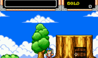 Wonder Boy V – Monster World III (Japan)
