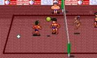 World Beach Volley (Japan)