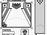 World Bowling (USA)