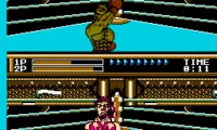 World Boxing (Japan)