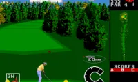 World Class Leaderboard Golf (Europe)