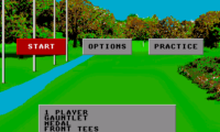 World Class Leaderboard Golf (USA)