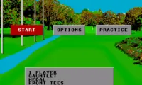 World Class Leaderboard Golf (USA)