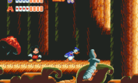 World of Illusion Starring Mickey Mouse and Donald Duck (Europe)