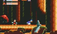 World of Illusion Starring Mickey Mouse and Donald Duck (Europe)