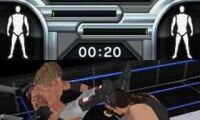 WWE SmackDown vs Raw 2009 featuring ECW (Europe)