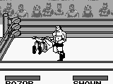 WWF King of the Ring (Japan)