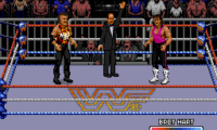 WWF Rage in the Cage