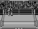 WWF Raw (USA, Europe)