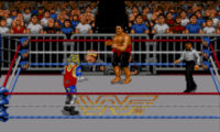 WWF Raw (World)