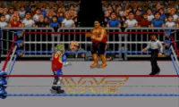 WWF Raw (World)