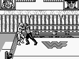 WWF Superstars 2 (Japan)