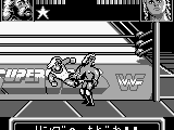 WWF Superstars (Japan)